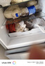 上菱183升双开门冰箱小型出租房2-3人用 出租屋家用两门二门小户型双门电冰箱以旧换新BCD-183D 实拍图