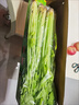 嗯嗯乐山东青岛特产正宗马家沟空心芹菜有机嫩芯大黄叶蔬菜精品菜芯 经典玻璃翠菜心2斤礼盒装 实拍图