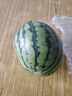 京鲜生 无籽麒麟西瓜 1粒装 单果5-7斤 生鲜水果 实拍图