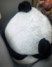 趣巢眨眼熊猫喂奶仿真大熊猫玩具儿童小女孩可爱毛绒公仔玩偶 实拍图
