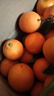 玖原农珍 赣南脐橙当季采摘优选橙子年货礼盒水果 含箱20斤净重18斤彩箱精品果150-220g 实拍图