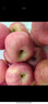 京鲜生 山东栖霞红富士苹果精品12粒 单果190g-240g  水果礼盒 实拍图