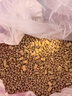 伟嘉猫粮成猫全价猫粮亮毛均衡营养10kg海洋鱼味夹心粮【原料透明】 实拍图