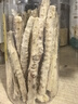 福东海 北沙参 200g/瓶 沙参干段可配黄芪红枣芡实茯苓山药枸杞玉竹茯苓 实拍图