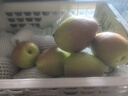源自新疆红香酥梨新鲜梨子3/5/10斤脆甜皮薄梨子应季水果整箱批发 净重9斤实惠中果 实拍图