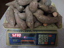 新鲜沙地烟薯25号糖心流油蜜薯红薯早餐必备超市京东包邮真便宜 3斤 带箱 小果宝宝薯 实拍图
