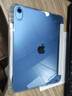 Apple/苹果 iPad11英寸 A16芯片2025年款 平板电脑 (256GB WLAN版/学习办公娱乐)蓝色 实拍图