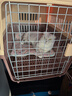 獒少保【带挂碗+垫板】宠物航空箱大号狗猫托运箱猫咪狗狗航空箱运输箱 三号 建议40斤以内【带轮】 实拍图