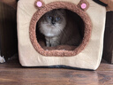 阿柴与猫封闭式猫窝大房子小型犬狗窝睡觉猫狗屋可拆洗四季通用宠物窝 实拍图