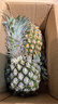 广东徐闻香水菠萝新鲜水果生鲜热带孕妇水果整箱包邮 2个装 净重3-3.5斤 单果650g起 实拍图