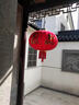 倍欢喜 2026元宵节大红灯笼吊灯中国风挂饰元宵节户外阳台大门 80#全家福一对装+LED灯+长杆款 实拍图