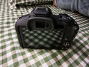 佳能（Canon）佳能r50 入门级微单相机 Vlog拍摄 4K高清视频 自拍照相 半画幅无反 学生旅行家用 拍摄必备套装  实拍图