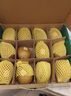 佳沛（zespri）新西兰 阳光金奇异果12粒礼盒特大果单果约122-146g 猕猴桃 水果 实拍图