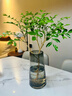 临雅水培植物九里香盆栽桌面驱蚊绿植室内茉莉鲜花水养花卉懒人四季开 九里香【40-50】cm*1株 实拍图