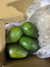 鲜青录秘鲁进口牛油果鳄梨奶油酷热带新鲜宝宝孕妇水果 净重400g【4个中果 单果100-140g 实拍图