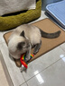 福摩（Fromm）无谷全家禽猎鸟配方猫粮 4磅(1.81kg)  适口性佳 实拍图