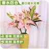 AB级优质香水百合鲜花水培插花家庭生活水养鲜切玫瑰云南产地直发 高品质【AB级罗曼蒂克】香水百合10朵+保鲜剂 实拍图