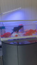 阔庭（KUOTING）鱼缸水族箱客厅桌面生态造景家用带灯制氧过滤鱼缸白色【大号】 实拍图
