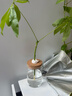 九千谷花瓶玻璃 水培植物生态瓶杆状绿植花瓶家用客厅摆件带竹托9882 实拍图