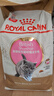 皇家猫粮 英短幼猫粮 BSK38 通用粮 4-12月 2KG 实拍图