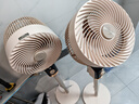 钻石牌（DIAMOND）电风扇空气循环扇落地扇家用风扇涡轮换气扇循环对流风扇落地大风量立式节能轻音电扇 【3D送风·小杏运循环扇】机械/FX-L20 实拍图