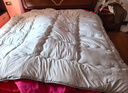 南极人被子 立体加厚秋冬被双人冬季被芯被褥棉被空调被10斤 200*230cm 实拍图