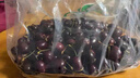 京鲜生 智利进口车厘子J级5斤礼盒 果径约26-28mm 水果礼盒【赠送卡尺】 实拍图
