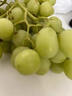 京鲜生 克伦生红提 葡萄 2斤装 生鲜水果 克瑞森 酸甜口感 实拍图