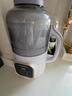 大宇（DAEWOO）破壁机家用全自动免煮豆浆机2-3人食直流电机低音降噪 小米粥榨汁辅食料理机DY-SM09-ZL 实拍图