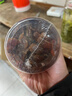 十月稻田 桂圆肉 无核免剥桂圆干 425g/罐 龙眼干 龙眼肉 泡水泡茶 八宝粥 实拍图