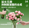 HB-101植物活力素营养液100ml促生长兰花多肉僵苗生根液养花植物通用 实拍图
