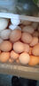 京喜加 鲜鸡蛋 土鸡蛋  五谷喂养 山林自养鸡蛋溏心蛋早餐京东包邮40g 2枚 40g左右 实拍图