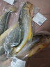 黄小渔宁德三去黄花鱼800g/条净重 大黄鱼生鲜 鱼类海鱼 海鲜水产 实拍图