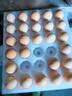 京鲜生柴鸡蛋30枚 3斤 无抗生素 谷物喂养鲜鸡蛋 源头直发 实拍图