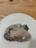海鲜世家冷冻生蚝肉净重1.6斤 60-70只/袋 牡蛎肉 火锅烧烤食材海鲜生鲜 实拍图