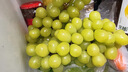 京鲜生 阳光玫瑰葡萄 青提2-2.5斤装 单果约10g 生鲜水果 实拍图