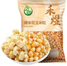 禾煜 爆米花玉米粒1000g（100g*10） 家用原料苞米花 爆米花用玉米粒 实拍图