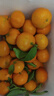 京地达广东砂糖橘新鲜水果净重5斤中大果35-45mm源头直发包邮 实拍图