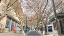 罗莱家纺 大豆床垫床褥子 抗菌防螨床笠可机洗薄褥子150*200cm白色 实拍图