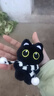 黑猫玩偶毛绒公仔挂件ins可爱猫咪包包挂饰情侣礼物送女朋友礼物 黑白围巾+黑猫【升级双扣挂绳】 会吱吱叫【10厘米左右】 实拍图