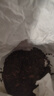 大益TAETEA茶叶普洱茶熟茶 7572饼茶盒装150g/饼 经典标杆口粮茶自饮 实拍图
