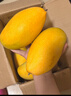 甜萌果蔬芒果金煌芒水仙芒果青皮大芒果甜心芒海南新鲜水果次日孕妇达送礼 星耀级｜单果400g+【精品果】 5斤装【80%选择|超值推荐】净4.5斤 实拍图