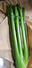 京鲜生山东新鲜大西芹净重4.5斤榨汁现挖芹菜鲜嫩蔬菜 去半叶源头直发 实拍图