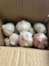 紫白皮蒜水果大蒜超市即食生鲜蔬菜大蒜 【优选】带箱 1斤 单果3.5-5cm 实拍图