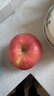 京鲜生 烟台红富士苹果 净重5斤  单果190g起 水果礼盒 实拍图