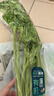 【有机】芹菜（西芹）400g 实拍图