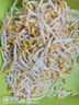 有机黄豆芽200g 实拍图