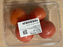 番茄约500g 实拍图