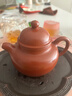 藏壶天下【政府补贴】小容量宜兴紫砂壶纯手工茶具小煤窑朱泥泡茶壶掇球 实拍图