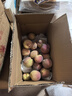 青州蜜桃脆甜多汁现摘现发-万果 （家庭装）带箱5斤装 晒单实拍图